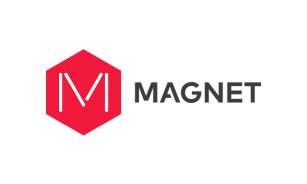 Magnet